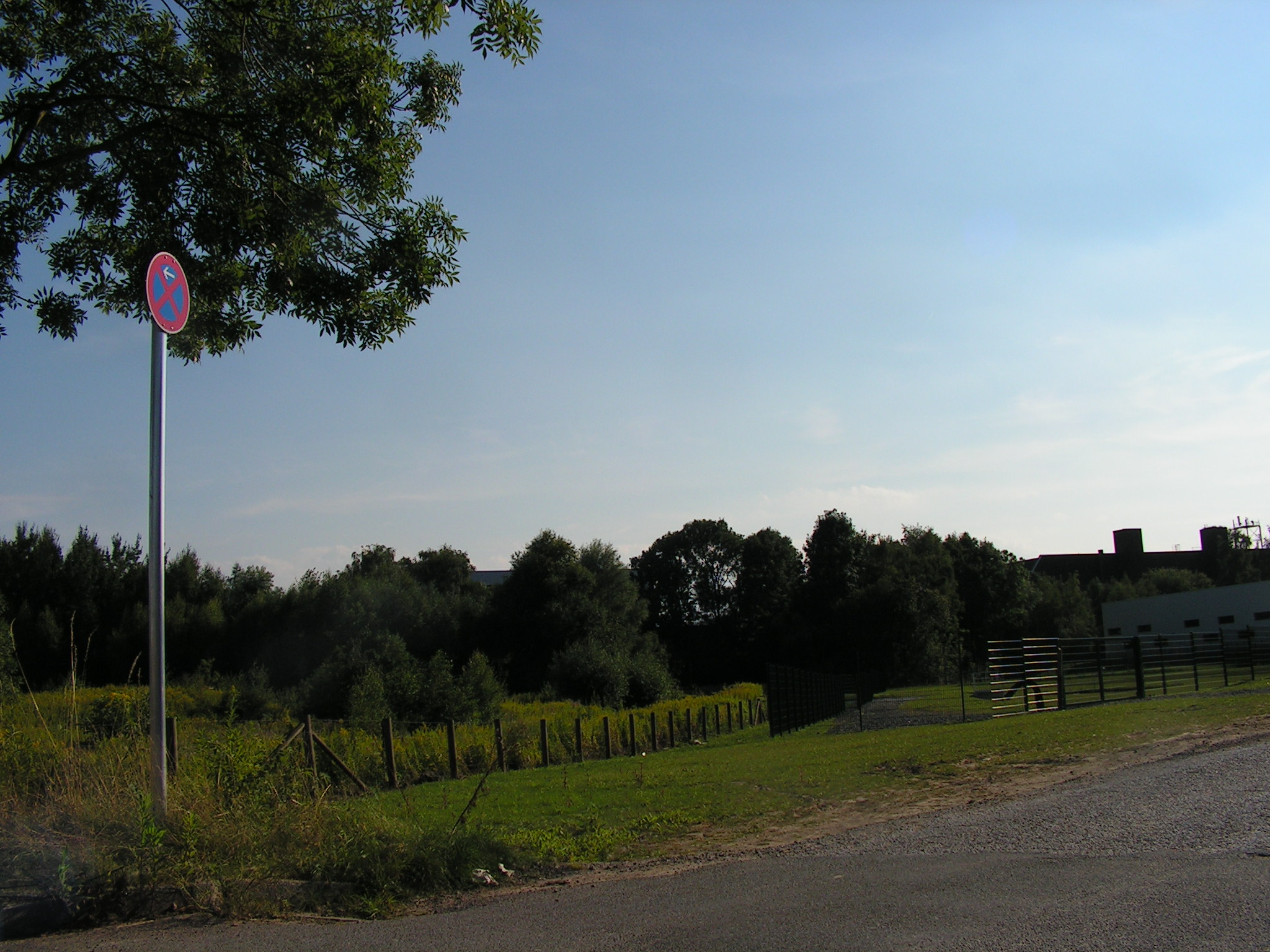 Westlichster Abschnitt des Grotenbachs im Salinger Feld. Blick nach Südwesten. Links im Bild die ehemalige Panzerteststrecke in Witten. (Foto: Peter Maier)