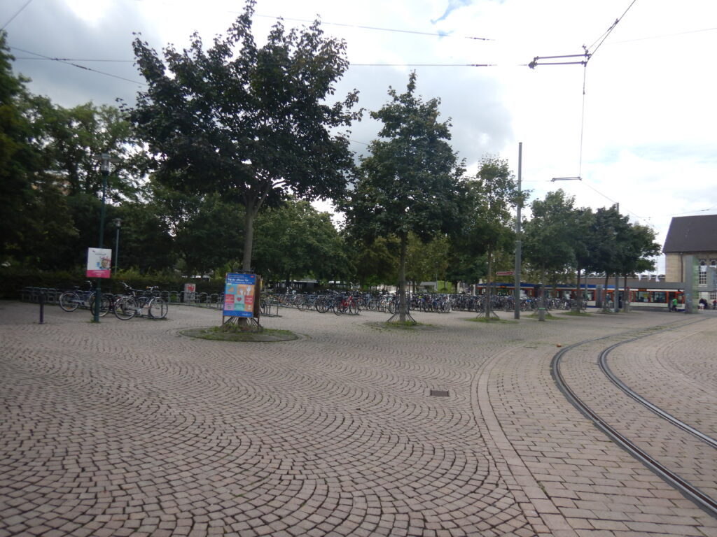 Im Vordergrund Straßenbahnschienen, dann Bäume, dahinter größtenteils belegte Fahrradbügel