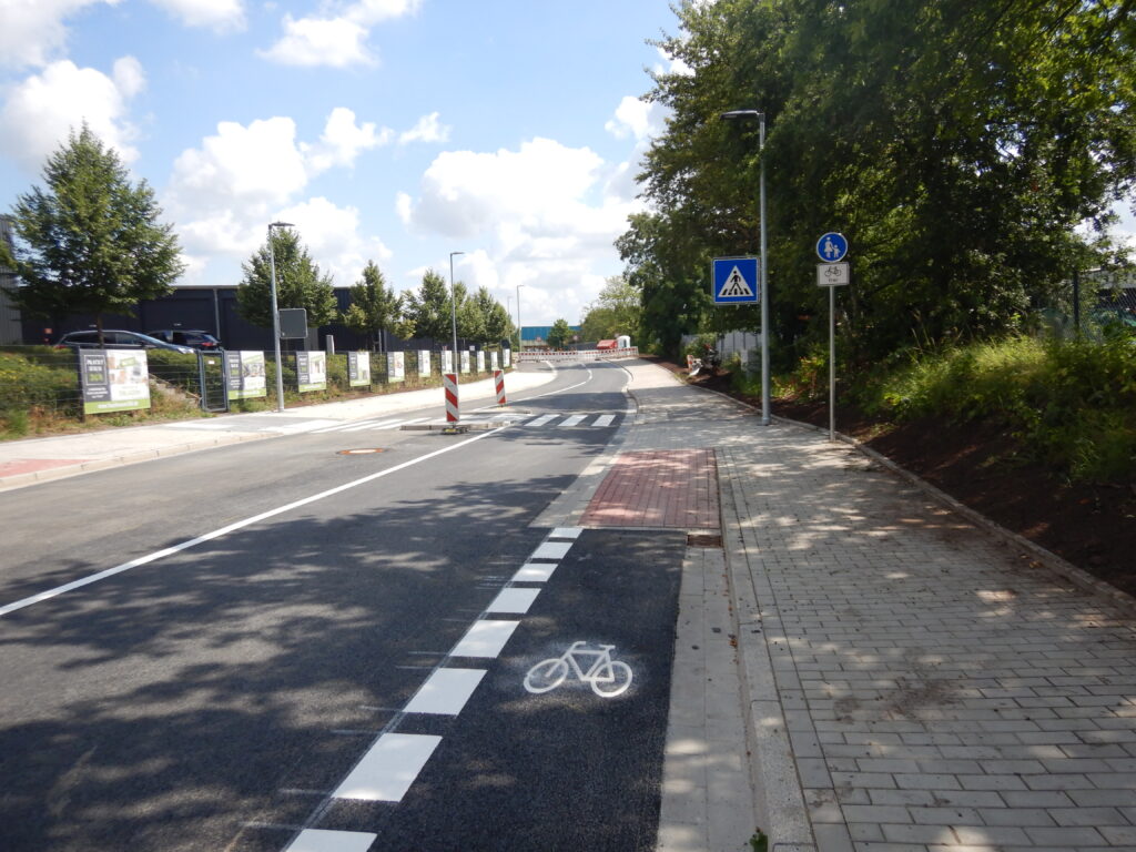 In der Bildmitte ein Radsymbol, links eine weiße, unterbrochene Linie, rechts ein Bordstein; im Hintergrund ein Gehweg und ein Fußgängerüberweg