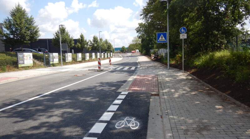 In der Bildmitte ein Radsymbol, links eine weiße, unterbrochene Linie, rechts ein Bordstein; im Hintergrund ein Gehweg und ein Fußgängerüberweg