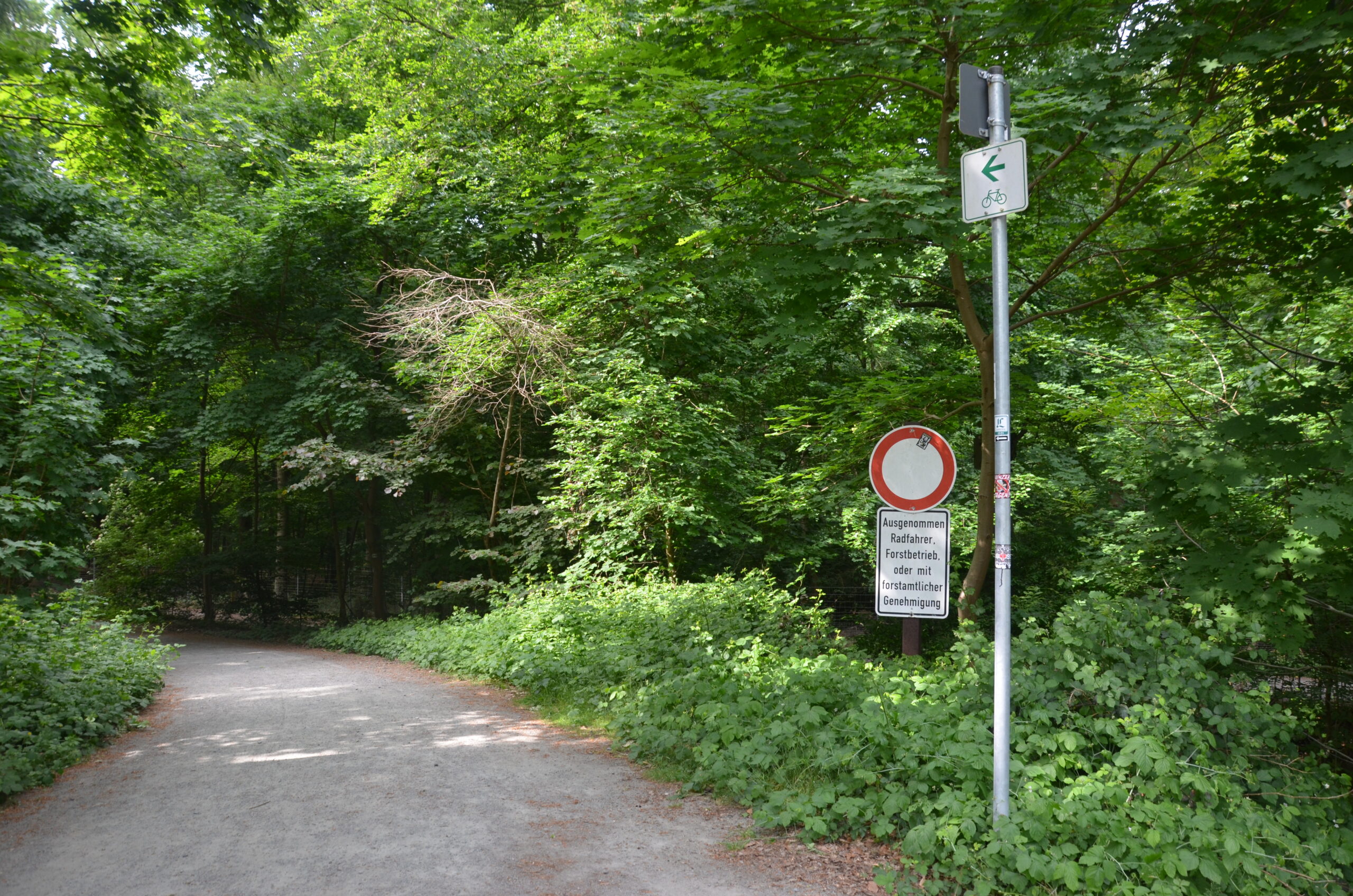 Ein Waldweg führt leicht nach links. Rechts vorn steht ein Zwischenwegweiser für den Radverkehr. Dahinter ist ein Durchfahrtsverbot mit Zusatzzeichen zu sehen.